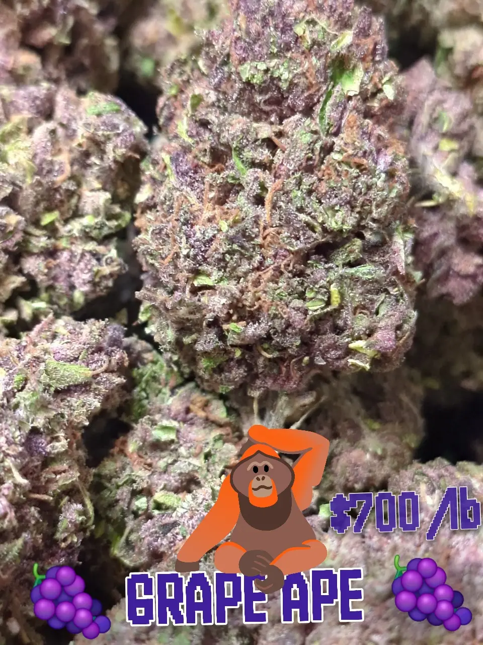 Buddr by the Pound-1787006043479